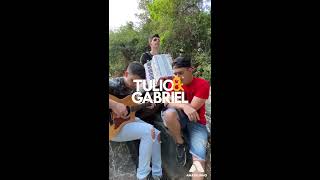 CÊ QUE SABE  CRISTIANO ARAÚJO COVER TULIO E GABRIEL [upl. by Arihaz]