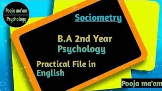 Sociometry  BA 2nd year Psychology  Practical file [upl. by Rimisac]