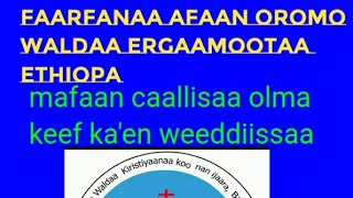 Faarfanaa afaan oromo waldaa ergaamoota ethiopia Mafaan calisaa [upl. by Ilah872]