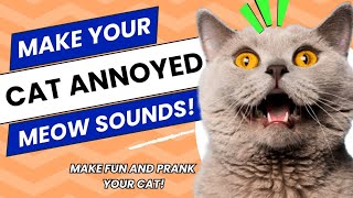 Cat Sounds Meow That Make Them Annoyed  Beats and Sounds Official [upl. by Lazor922]