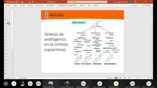 CLASE 8 ANDROGENOS ANTIANDROGENOS Y ANABOLICOS DR SUAREZ FARMACOLOGIA [upl. by Ahoufe777]