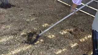 How To Clean A Horse Stall  AllHorseTalkcom [upl. by Anawt]