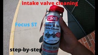 Intake Valve Cleaning Process Focus ST [upl. by Vernier]