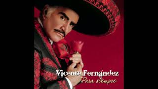 Vicente Fernández  Un Millón De Primaveras Cover Audio [upl. by Meensat642]