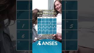 Calendario de Anses con las fechas de pago de la asignación por embarazo en octubre de 2024 anses [upl. by Geoffrey]