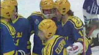 HockeyVM 1989  Det bästa från Tre Kronor [upl. by Eugnimod76]