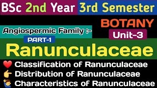 BSc 2nd Year 3rd Semester BotanyRanunculaceae Family RanunculaceaeClassification of Ranunculaceae [upl. by Piselli]