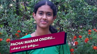 QFR  PACHAI MARAM ONDRU  RAMU 1966  Episode 677 [upl. by Airol]