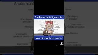 ligamentos dornojoelho lesãoarticular [upl. by Pickard548]