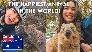 The BEST day on Rottnest Island Biking and Quokka selfies [upl. by Oliana]