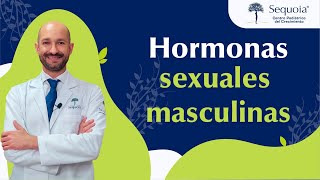 ¿Hormonas sexuales masculinas [upl. by Attenwad]