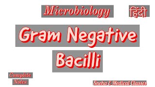 Gram Negative Bacilli in Hindi Microbiology [upl. by Arytal991]