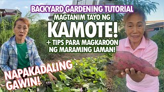 Paano nagkakaroon ng madaming laman ang aking mga Kamote Kamote Planting Tutorial  Haydees Garden [upl. by Kolb]