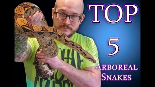 Top 5 BEST Arboreal and Semi Arboreal Pet Snakes [upl. by Elysha778]