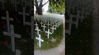 Ready for armistice day in Christchurch New Zealand 2024 armisticeday christchurch nz rip ww1 [upl. by Cummins]