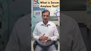 What is serum Amylase Test [upl. by Nosa]