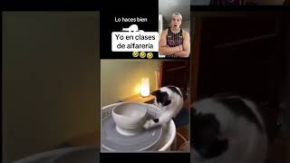 Vean yo en clases de alfarería con mi gato creo que el lo hace mejor 😱 comedia shorts [upl. by Rehtaeh22]