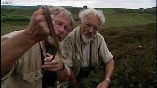 Smooth Snakes on Bill Oddie Goes Wild 2001 [upl. by Lednor]