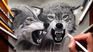 Pencil Drawing Two Growling Wolves  Speed Draw  Jasmina Susak [upl. by Bock881]