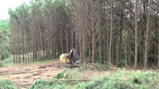 L870C feller buncher  Klabin Santa Catarina [upl. by Zorah]