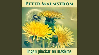 Ingen plockar en maskros [upl. by Nnylaj456]