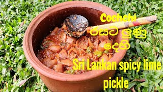 Kochchi රසට ලුණු දෙහි  Spicy lime pickle [upl. by Dorkas31]