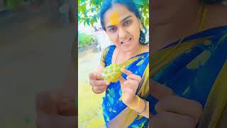 Shilpakala kayam organic in Tamil telusa [upl. by Egor]