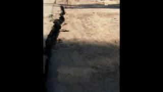 Terremoto en Mexicali 2010  Somos 40 [upl. by Velasco]