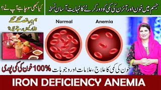 ANEMIA IRON DEFICIENCY  ANEMIA SYMPTOMS  ANEMIA SMOOTHIE  ANEMIA CAUSES  BY DR BILQUIS [upl. by Ahsimrac]