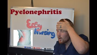 Pyelonephritis  NCLEX Review [upl. by Jeni]