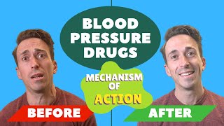 Blood Pressure Drugs  Mechanism of Action [upl. by Rekoob]