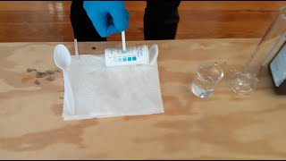 How to Use Hydrogen Peroxide H2O2 010000 ppm Test Strips [upl. by Lien]