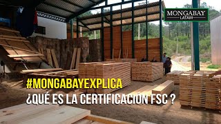 MongabayExplica  ¿Qué es la certificación FSC [upl. by Pedrick]