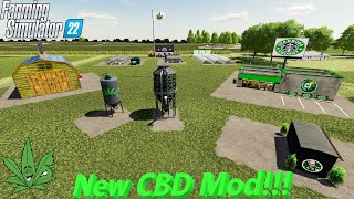 Grow Weed Everyday  How To Use The Cannabis Mod  fs22  farmingsimulator22  cjfarms [upl. by Aderf670]