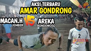 GOBAK SODOR AREKA BONDOWOSOB VS MACAN HITAM JEMBERB pertandingan sangat seru [upl. by Onfre]