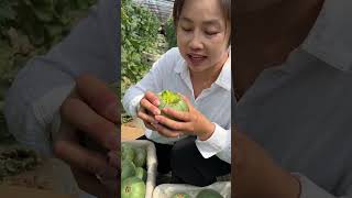 Beautiful Nature  Fresh Fruit Farm shorts shortvideo PS006 [upl. by Lilybelle]