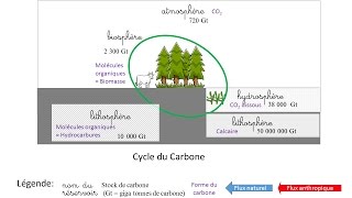 utilisation des ressources fossiles [upl. by Gracie367]