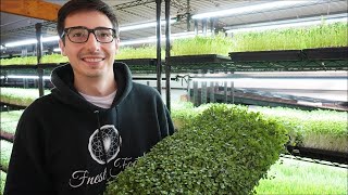 How This Entrepreneur Makes 17000 Monthly with Microgreens  Learn His Secrets Now [upl. by Tower975]