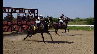 El Cigarro vs El Charrasqueado  250 yds  Octubre 12 2024  1015 Victoria Race Park [upl. by Erikson836]