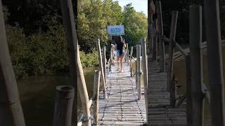 The longest Bamboo Bridge in Negros and Visayas Why Mangrove forest is very beneficial [upl. by Suiravad]