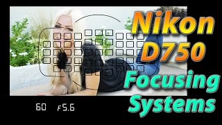 Nikon D750 Tutorial Training  Focusing Systems  How to [upl. by Norvin631]