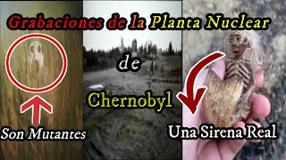 Las Nuevas Mutaciones de Chernobyl  Habitan Mutantes [upl. by Lindsy883]