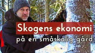 Skogens ekonomi på en småskalig gård  Plockhuggning med Anders Wilkes [upl. by Adnuhsat]