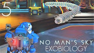 No Mans Sky Exobiology  5 PC [upl. by Akinna]