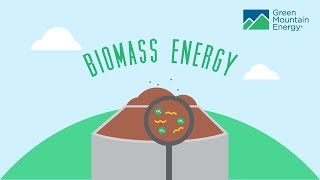 Renewable Energy 101 How Does Biomass Energy Work [upl. by Minni]