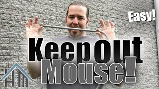 How to keep out mice and other pests How to seal up exterior Easy [upl. by Leinahtan721]