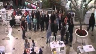 Carol of The Bells Flash Mob [upl. by Sloane]