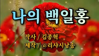 시낭song  나의 백일홍  작사  김종혁  제작 리샤시낭송 [upl. by Kcirdaed]