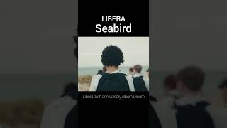 Libera  Seabird [upl. by Reilamag]