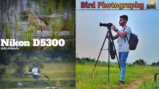 Wildlife Photography With Nikon 70300MM Lens  Bird Photography  🔥🔥Nikon D5300🔥🔥 [upl. by Kall]